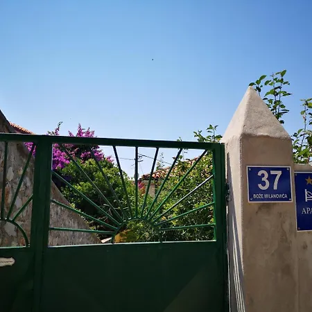 Zelina - One Bedroom With Terrace *